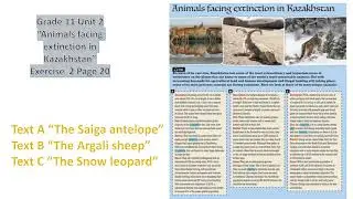 Grade 11 Animals facing extinction in Kazakhstan