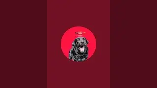 jimmy and me is live