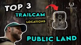 Top 3 Places to Hang Trail Cameras on PUBLIC LAND!!!
