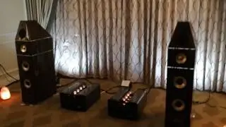 Genesis speakers with Viva Audio amps