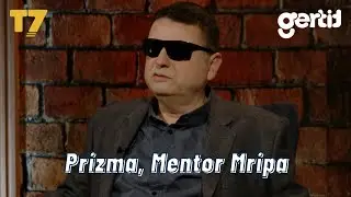 Mentor Mripa | PRIZMA | T7
