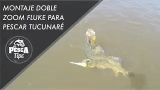 Montaje Doble de Zoom Fluke o pescaditos de plástico