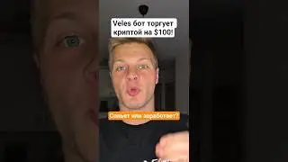 🤖 Запустил Veles Bot на $100! Заработает Или Сольет?