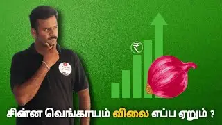 சின்ன வெங்காயம் விலை வருங்காலத்தில் எப்படி இருக்கும்? இறங்குமா ?ஏறுமா? Small onion price prediction