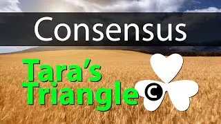 Social Consensus is the second attribute of Tara's Triangle Personality Type Psychology Tool