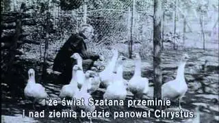 Fioletowe trójkąty 1/2