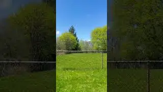 Canadian spring 🇨🇦 #canada #music #cover #coversong #musicproducer #itztripathiabhinav #shorts