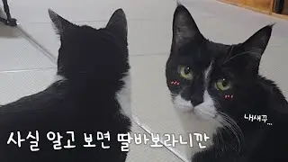 사실 알고 보면 딸바보라니깐....🥰