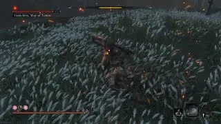 Sekiro - Isshin, the Sword Saint