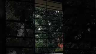 Relaxing Rain#relaxing #rainsounds #sleep #sleepmusic #rainwindow #windowrain #relax #relaxingmusic