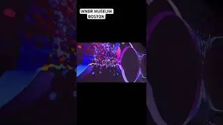 Trip to WNDR MUSEUM BOSTON #viral #viralvideo #music #museum #boston #milliondollarbaby