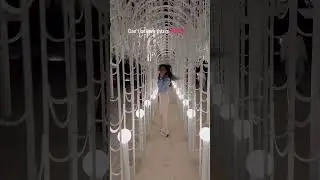 biggest light show in the world | abu dhabi| #shorts #trending #viral #abudhabi #lightshow
