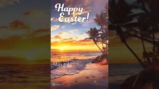 Happy Easter 🐰