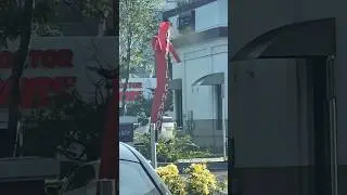 Air Dancer #Funny #Shorts
