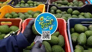 Carvel Avocado | The Greek Ready to Eat Avocado 🥑  Supplier for Europe