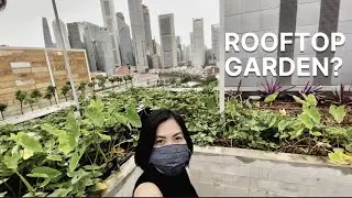 Rooftop Garden At Funan Mall |Singapore 2020 #funan #urbanfarm