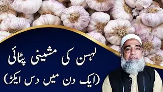 Mechanical Harvesting of Garlic | Crop Reformer