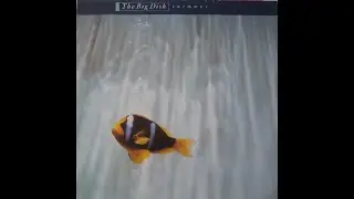 THE BIG DISH - Swimmer