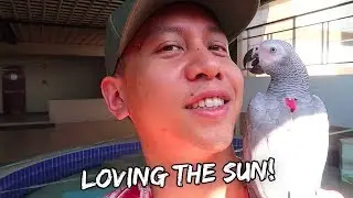 Going Outside For The First Time In Over A Month | Vlog #826