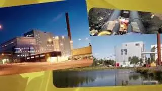 Swedish environmental history