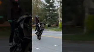Zx6r Standing Wheelie #viral #wheelie #kawasaki #zx6r #stunt
