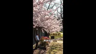 Welcoming the Spring Equinox: A Simple Norse Ritual