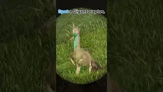 How To TAME The Gigantoraptor in ARK : Survival Ascended ?