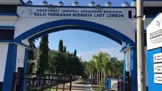 Balai Perikanan Budidaya Laut Lombok