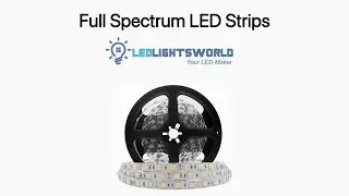 Full Spectrum LED Strip Light CRI 97+ (4000K) &ndash; Color Accuracy & Lighting Demo
