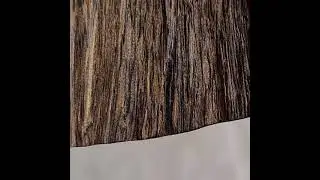 Kayu gaharu double super papua