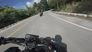 CB650R & ZX6R | MANGO PLANTATION FLYBYS | RAW SOUND