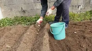 가는세월(원곡 서유석)