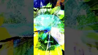 Maetar Music #improvisation #worldfusion #jazz #alternative #newmusic #indiemusic #musicians