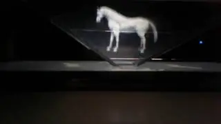Hologram animal