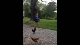 Chickens Like Toes