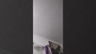 ХОЧУ СБЛИЗИТЬСЯ, ЧТОБЫ ВАС ЗАБОЛЕЛО ЧЕРЕЗ ТРЕТЬЕГО ЛИЦА☠️☠️💀😪🫩🤮🤢