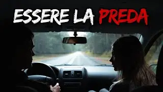 Il Momento in Cui Capisci di Essere la Preda - Storie Vere Assurde