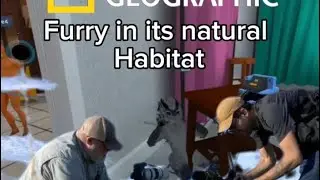 Child Predators In Vr Chat Caught Grooming Children!?!