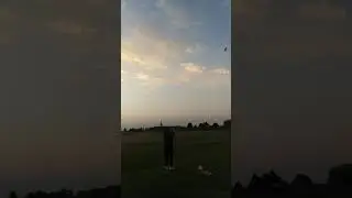 Shark 402 C/L Airplane
