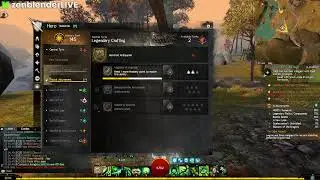 YAY racing car in GW2 | Casual PVE Player |