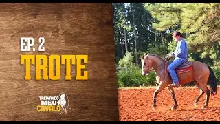 ANDAMENTOS DO CAVALO: TROTE