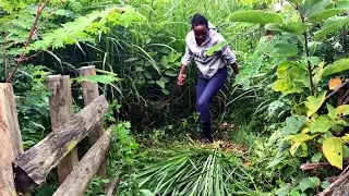 Day in my life in the countryside, Kenya | Home alone | Farm tour | countryside diaries
