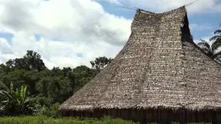 Parque Nacional Natural Yaigojé Apaporis