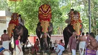 ശ്രീബലി എഴുന്നള്ളിപ്പ് മുരിക്കുംപുഴ ദേവി ക്ഷേത്രം #youtube #devotional #elephant #temple #india 