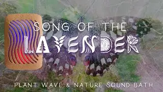Song of the Lavender - PlantWave & Nature Sound Bath for Deep Relaxation and Healing