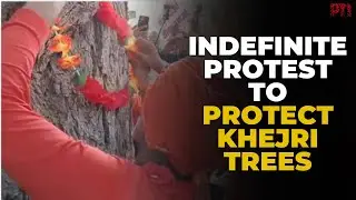 Rajasthan activists stage hunger strike demanding strict law to protect sacred Khejri trees