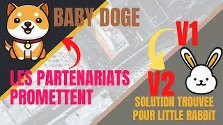 🔥💥Baby doge coin nous pr&eacute;pare des booms | Little Rabbit pr&eacute;pare la seconde migration
