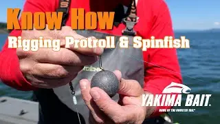 Настройка Protroll и Spinfish