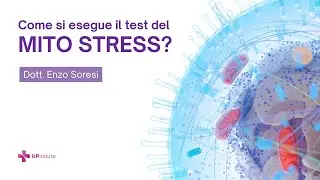 Come si esegue il test del Mito Stress? - Dottor Enzo Soresi - UPsalute Channel