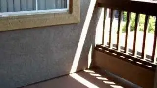 Deerwood Apartments - Corona - Plan B - 2 Bedroom